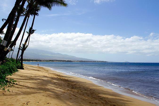 Kealia Resort 502 Kihei Zewnętrze zdjęcie